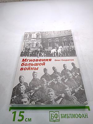 Мгновения большой войны