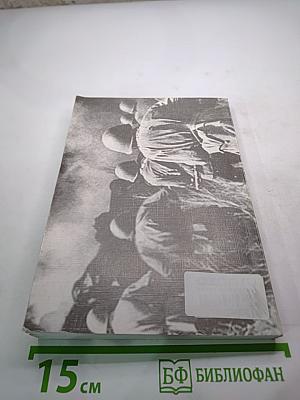 Мгновения большой войны