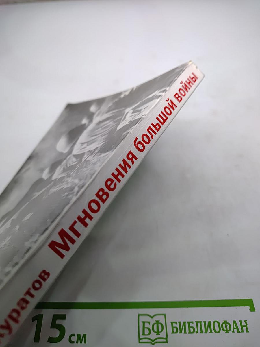 Мгновения большой войны