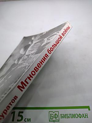 Мгновения большой войны