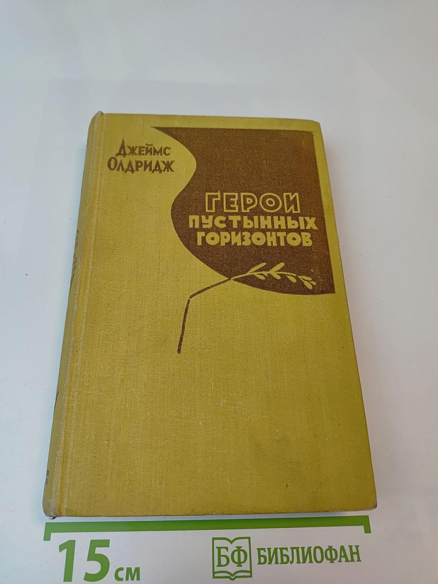 Герой пустынных горизонтов