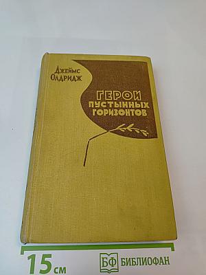 Герой пустынных горизонтов