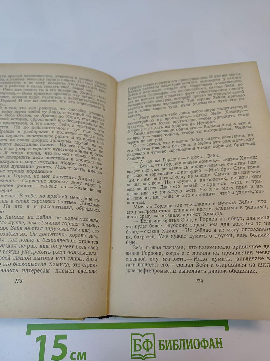 Герой пустынных горизонтов