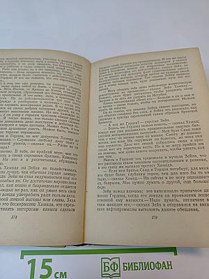 Герой пустынных горизонтов