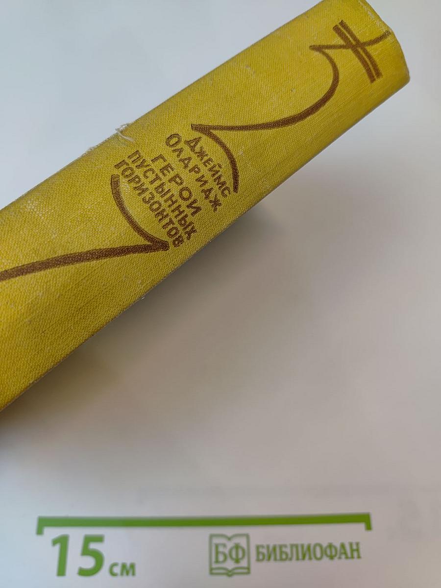 Герой пустынных горизонтов