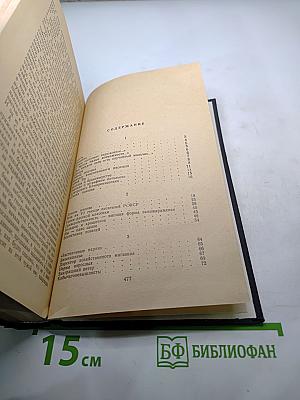 Завтрашний ветер