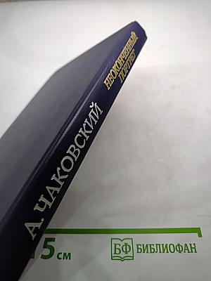 Неоконченный портрет