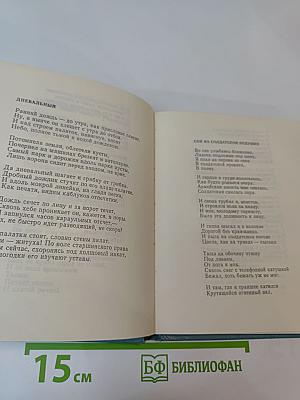 Мой век
