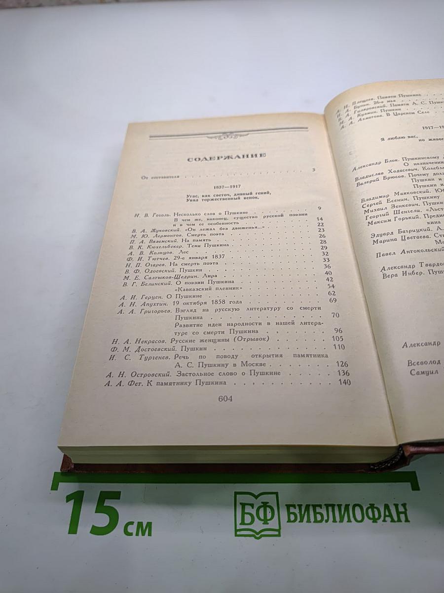 Светлое имя Пушкин. В прозе, стихах, письмах и поэме