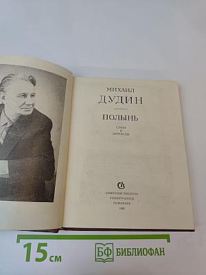 Полынь: Стихи и переводы