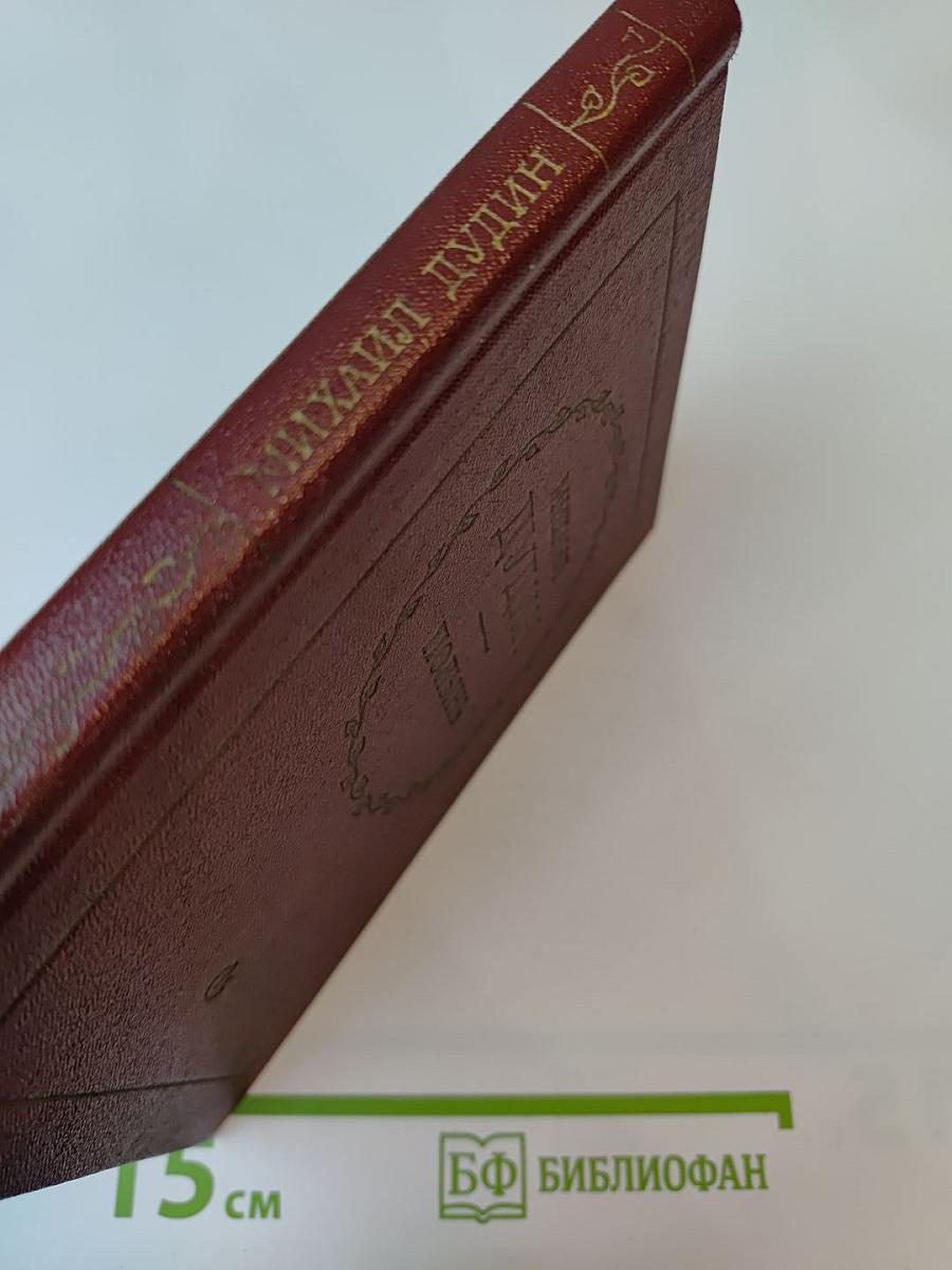 Полынь: Стихи и переводы