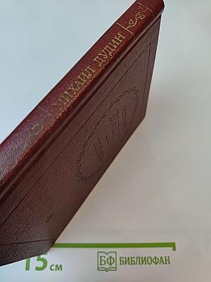 Полынь: Стихи и переводы