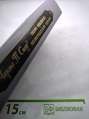 Пора надежд. Возвращения домой