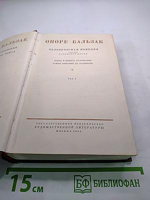 Человеческая комедия. Блеск и нищета куртизанок. Тайны княгини де Кадиньян. Том 9