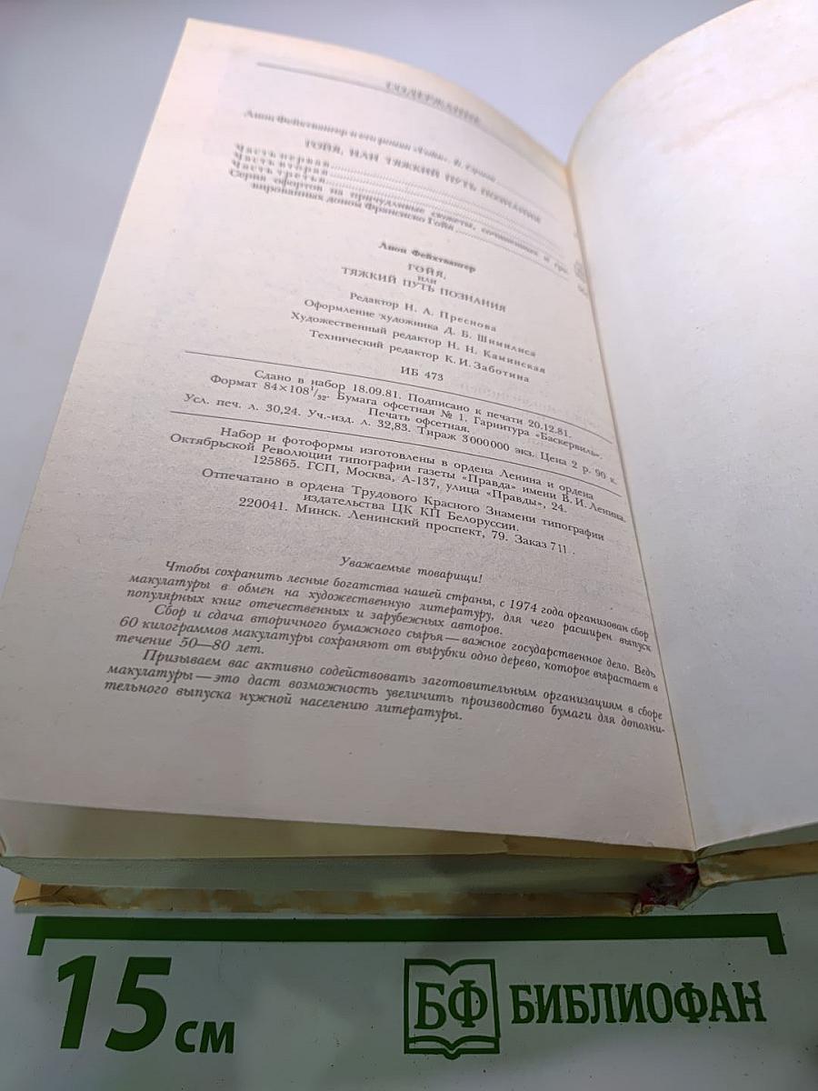 Гойя, или Тяжкий путь познания