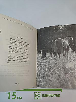 Святогорское лето