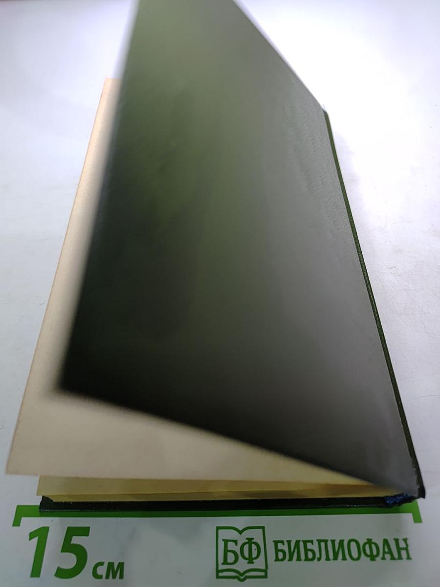 Суд присяжных в России: Громкие уголовные процессы 1864-1917 гг.