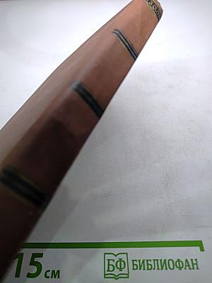 Западня. Том 6