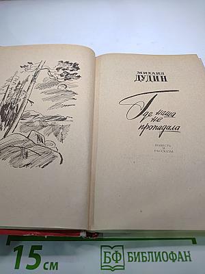 Где наша не пропадала