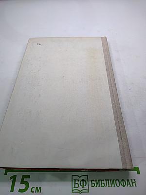 Где наша не пропадала