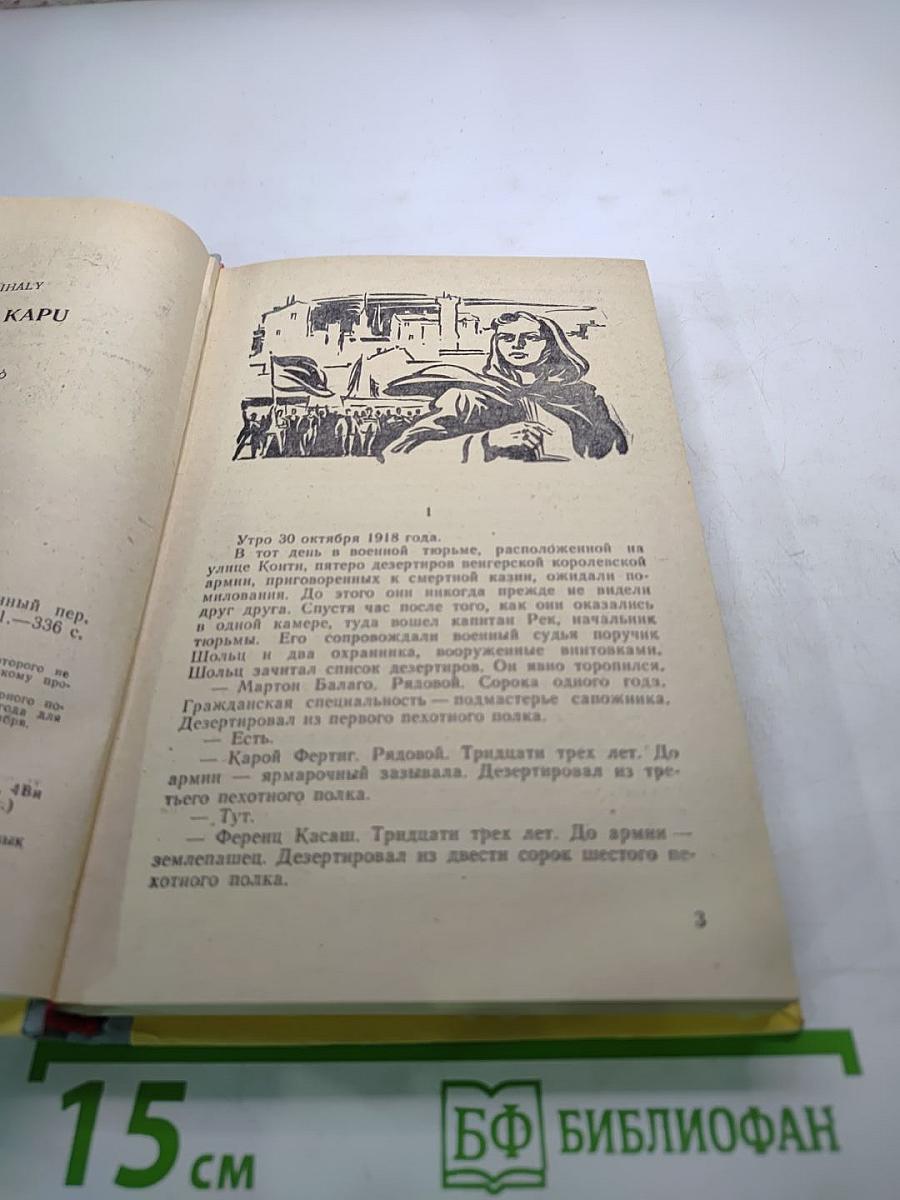 Северные ворота