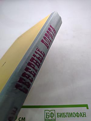 Северные ворота