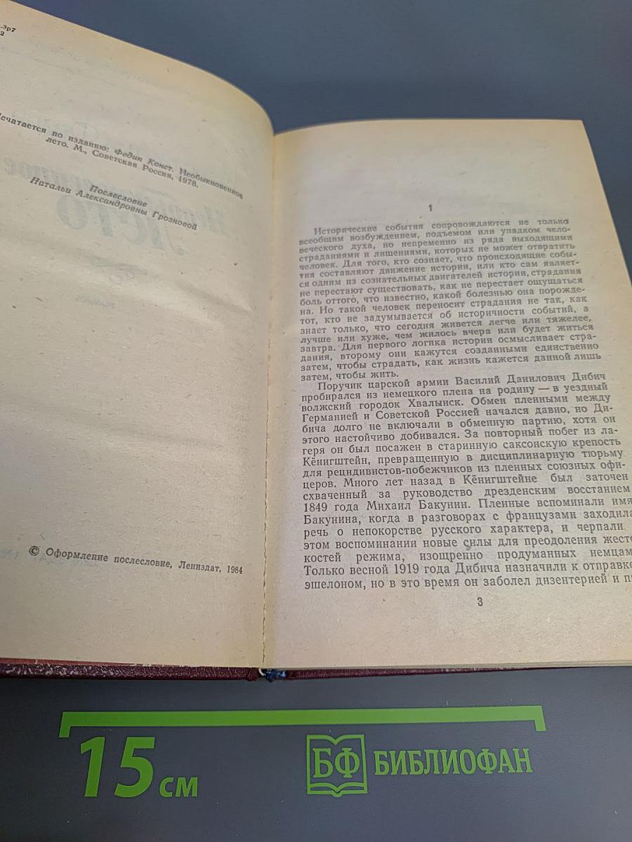 Необыкновенное лето