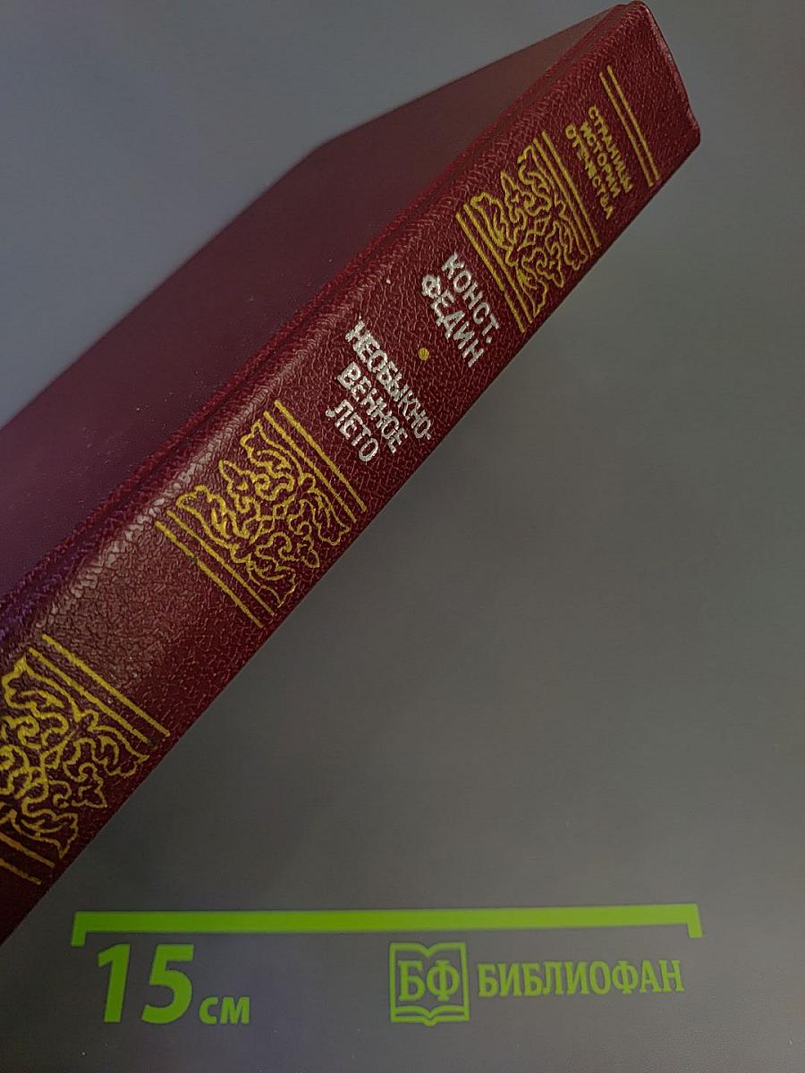 Необыкновенное лето