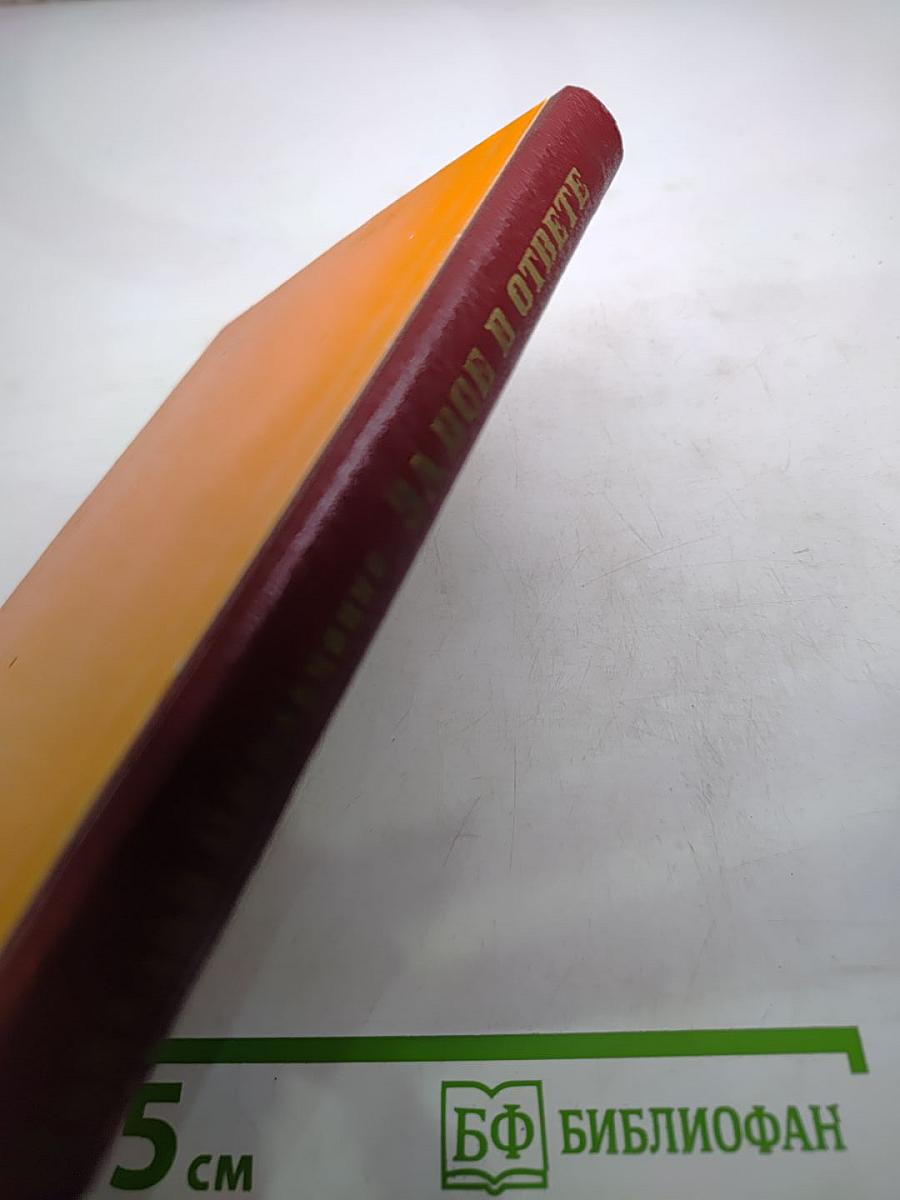 За все в ответе