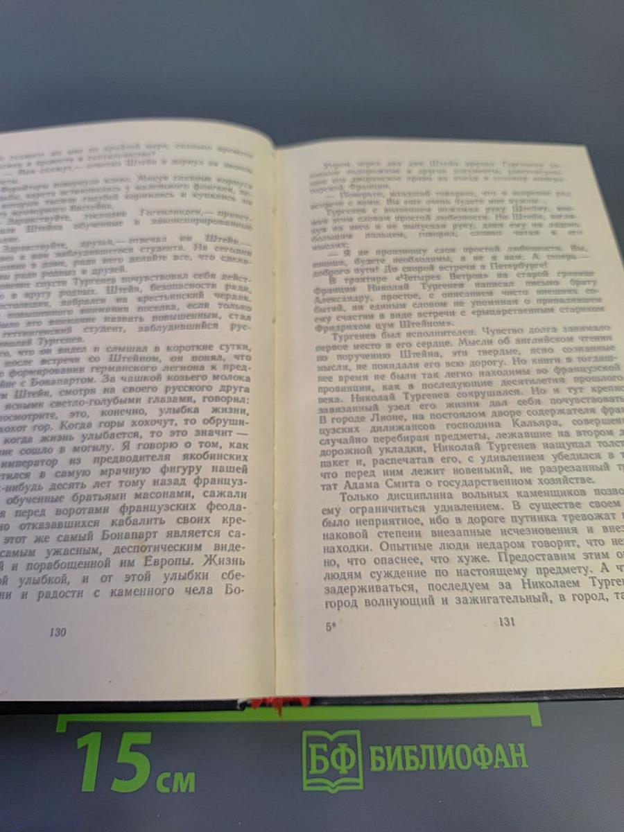 Повесть о братьях Тургеневых. Осуждение Паганини