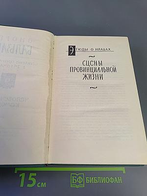 Собрание сочинений в 24 томах. Том 9. Человеческая комедия: Этюды о нравах. Сцены провинциальной жизни