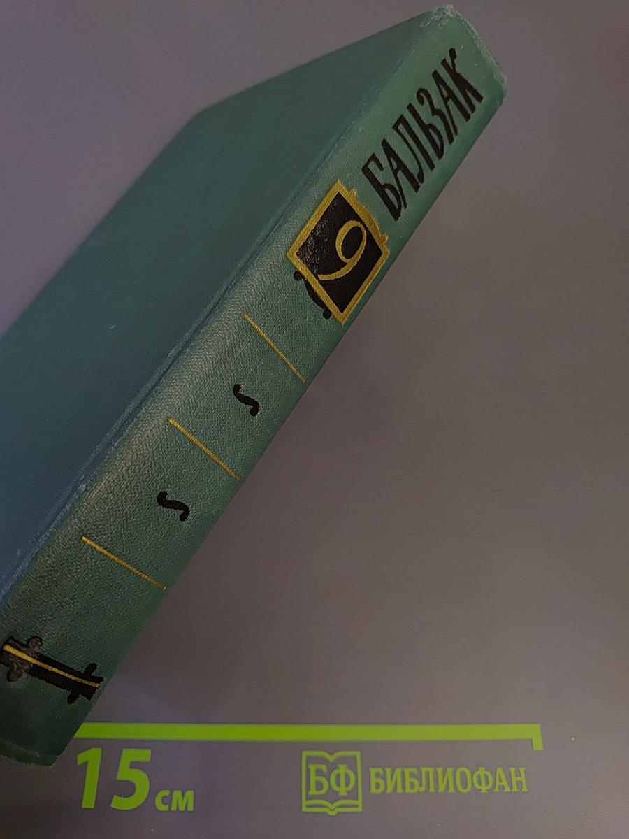 Собрание сочинений в 24 томах. Том 9. Человеческая комедия: Этюды о нравах. Сцены провинциальной жизни