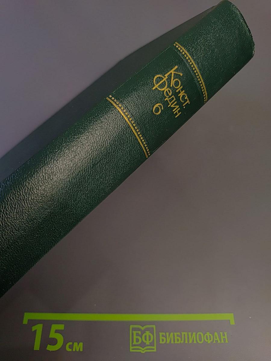 Собрание сочинений в десяти томах. Том Шестой. Необыкновенное лето. Роман