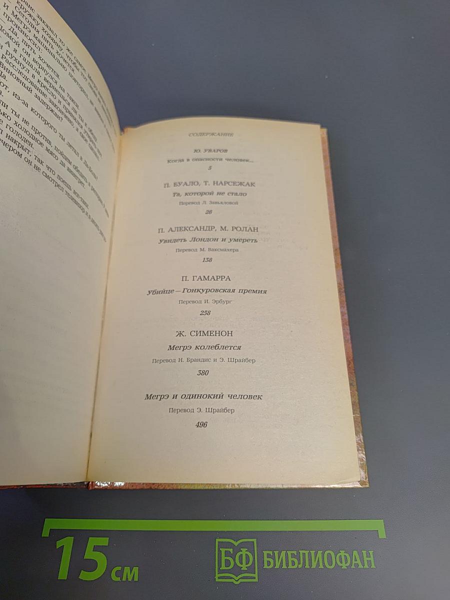 Современный французский детективный роман