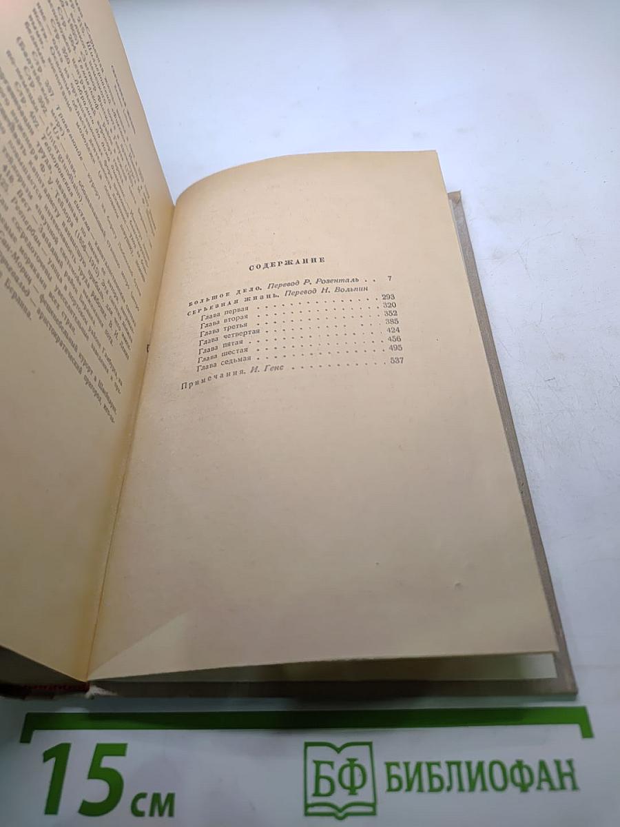Сочинения. Том пятый: Большое дело. Серьёзная жизнь