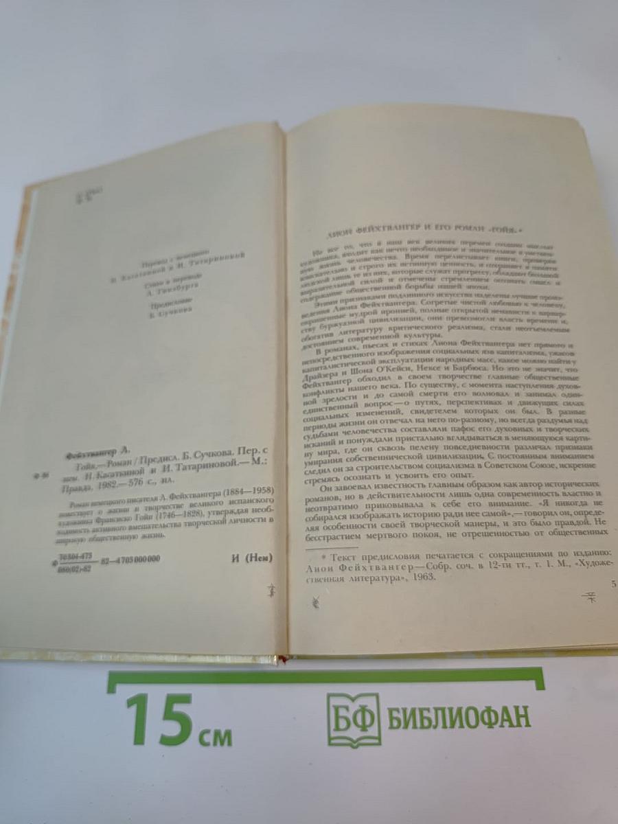 Гойя, или Тяжкий путь познания