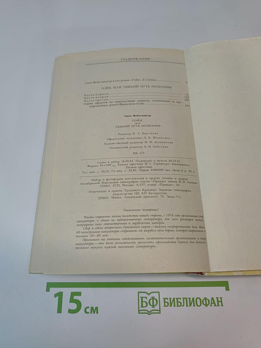 Гойя, или Тяжкий путь познания