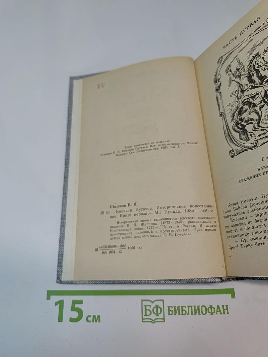 Емельян Пугачев