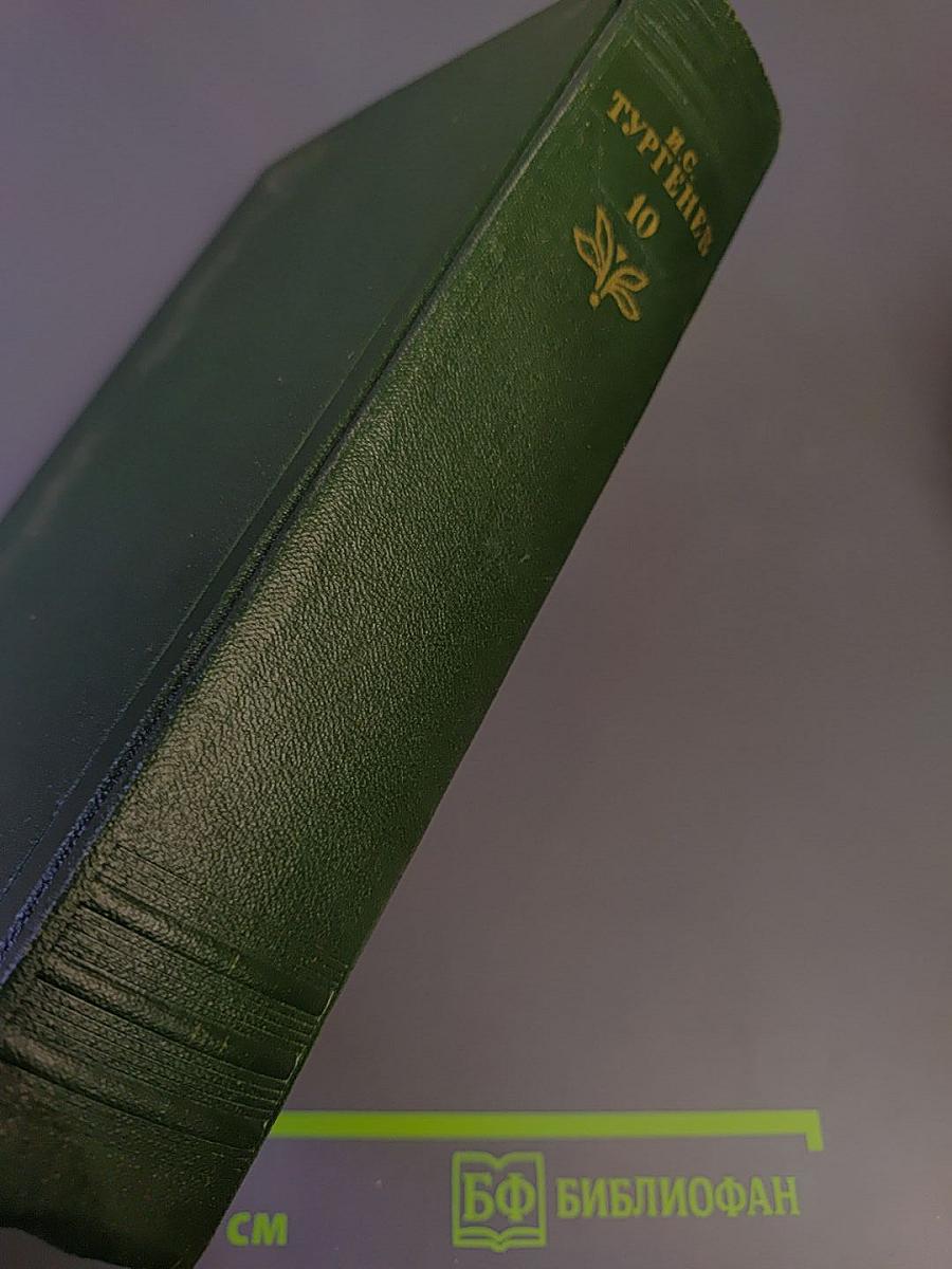 Собрание сочинений. Том десятый: Стихотворения, поэмы, литературные и житейские воспоминания, переводы