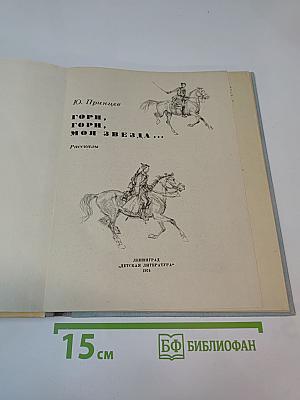 Гори, гори, моя звезда... Рассказы