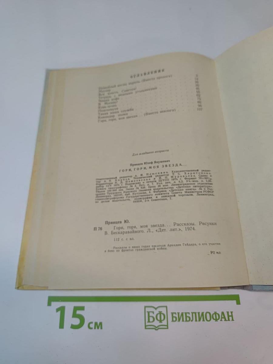 Гори, гори, моя звезда... Рассказы