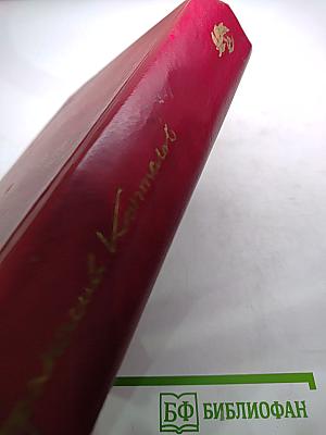 Точка опоры