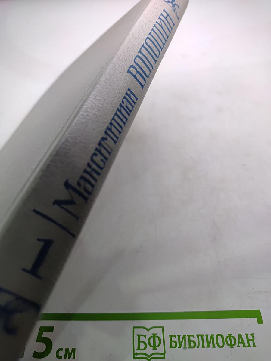 Максимилиан Волошин: Из литературного наследия