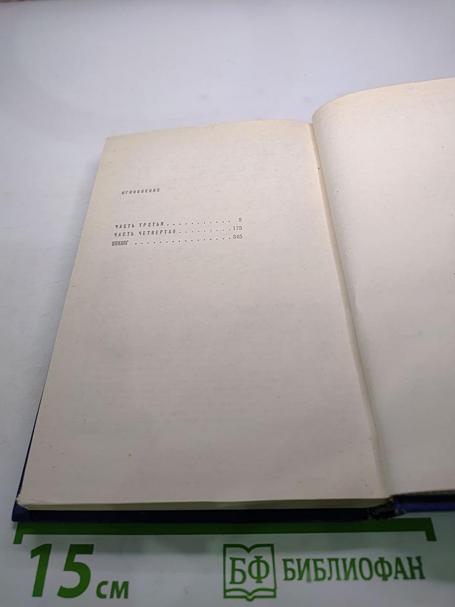 Вечные хлопоты. Книга вторая