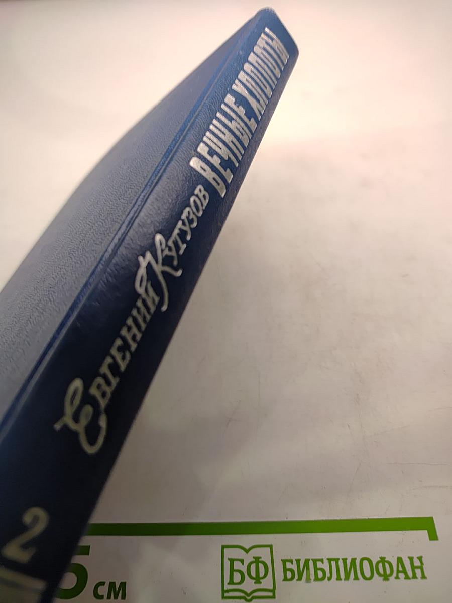 Вечные хлопоты. Книга вторая