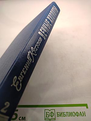 Вечные хлопоты. Книга вторая