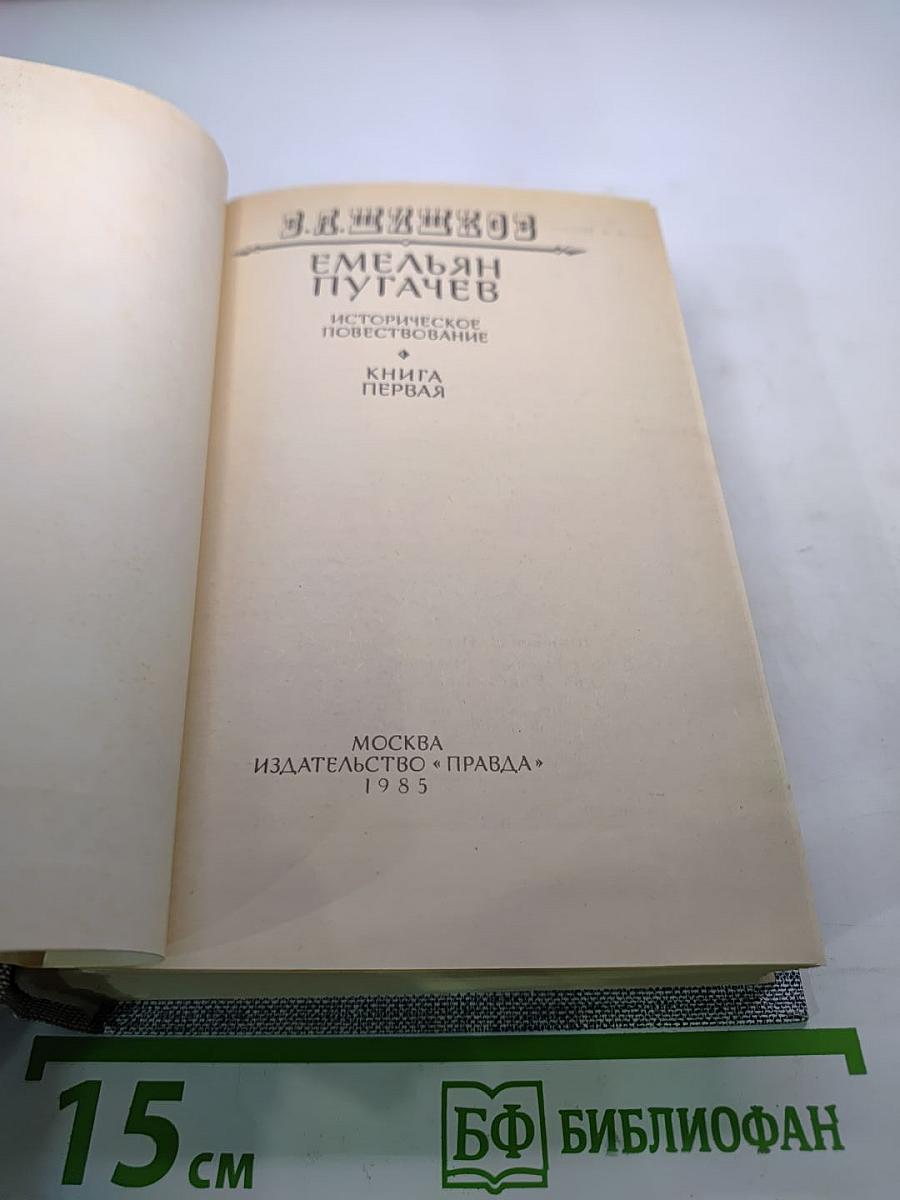 Емельян Пугачев. Книга первая. Историческое повествование