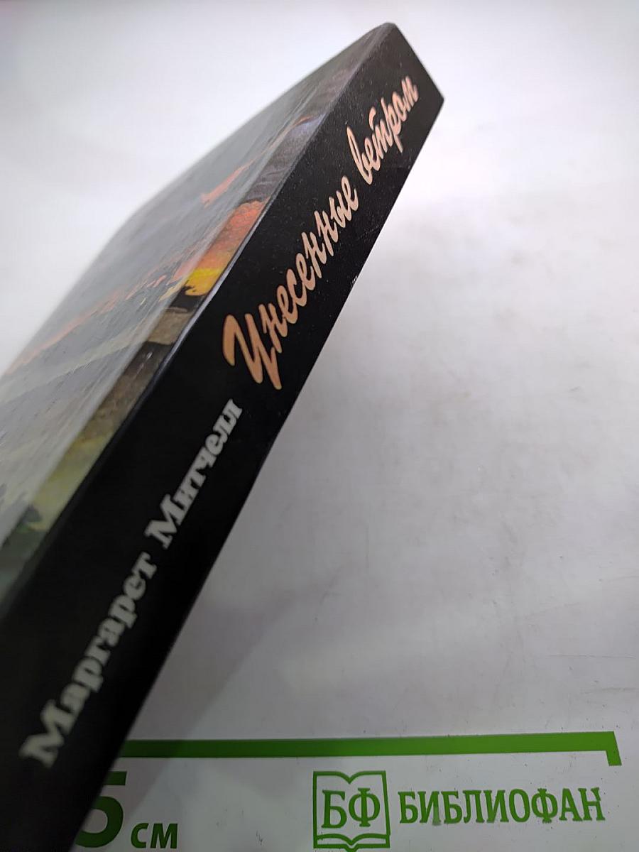 Унесенные ветром Том 2