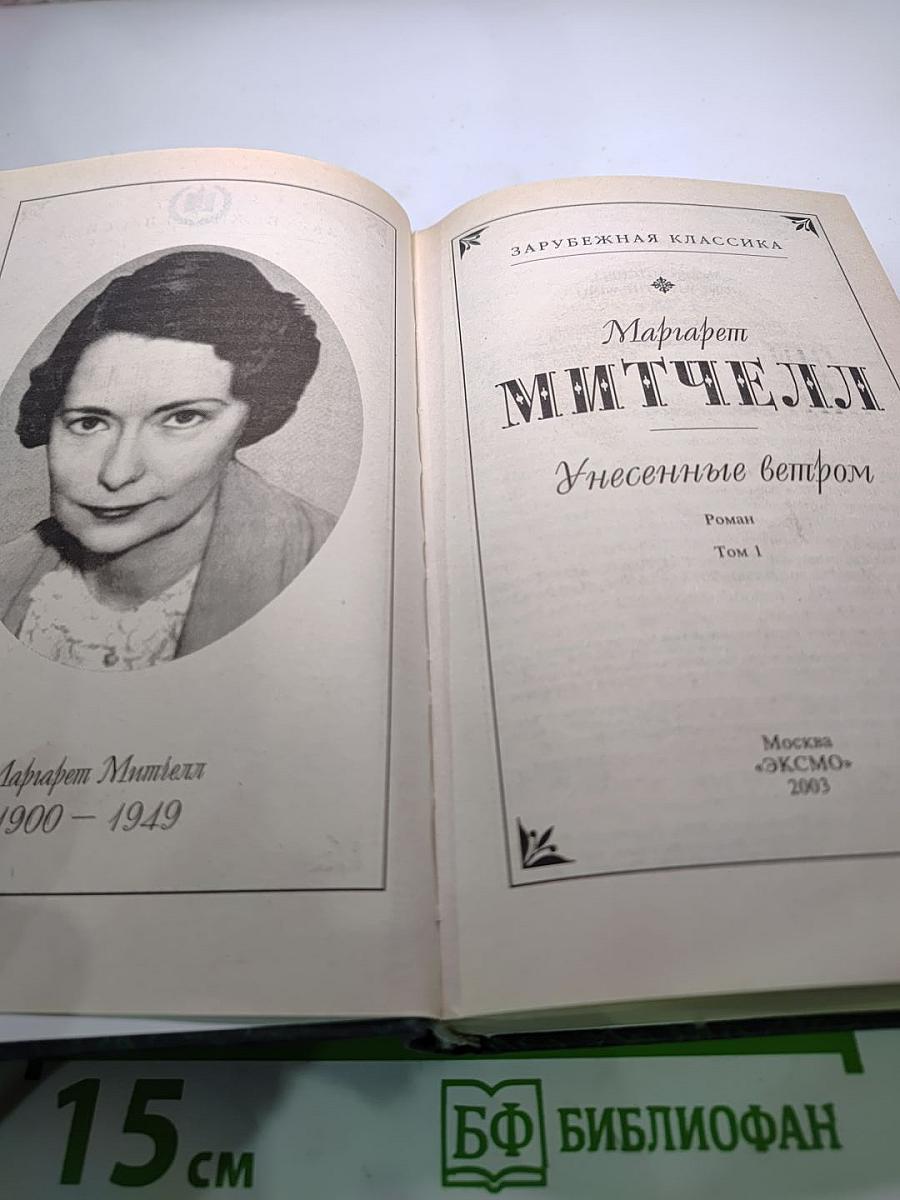 Унесенные ветром. Том 1