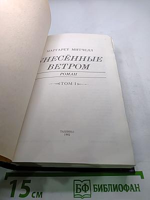 Унесенные ветром, Том 1